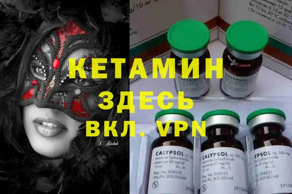 индика Покровск