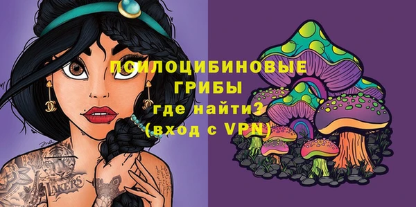 крисы Абинск