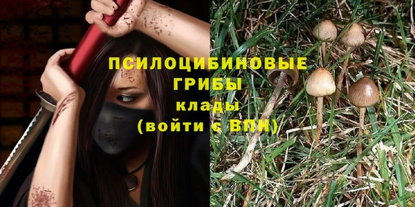 крисы Абинск